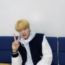 댕댕# 이미지