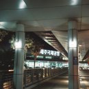 제주도 당일치기