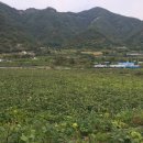 한율농장 이미지