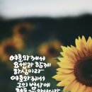 요셉의사람들 이미지