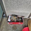 로얄아파트 경로당 이미지