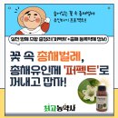 안의농약사 | 꽃속 총채벌레, 총채유인제 &#39;퍼펙트&#39;로 꺼내고 잡자!실전 방제 조합 총정리(총채유인제 &#39;퍼펙트&#39;+ 총채...