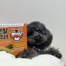 찬스덴탈 네이버블로그