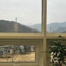 괴산식당 | 충북 괴산 카페 몽 커피 파스타 맛있는 애견동반 식당