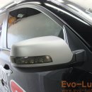 Evo-Luster 이미지