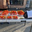 마재농원 이미지