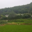 현내리 166 이미지