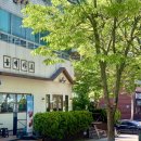 상무지구카츠맛집 런치세트 후기 &#34; 동백카츠 광주상무점 &#34;
