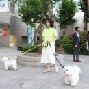 김건희농장 이미지