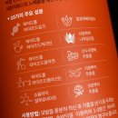 도도코스메틱