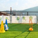 댕댕이애견 이미지