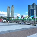 태화강 빛 축제 이미지