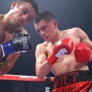 고릴라 복싱 이미지