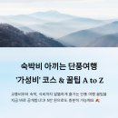 시립24시간 게스트하우스 | 숙박비 아끼는 단풍여행 &#39;가성비&#39; 코스 &amp; 꿀팁 A to Z
