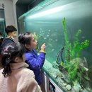 송정미라어린이집 이미지