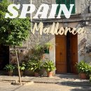 (유)한국렌트카 | 마요르카 렌트카 업체 추천 레코드고 픽업 위치, 비용