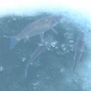 장원약국 이미지