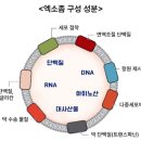 드림광고 이미지