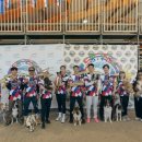 개인생활펫 이미지