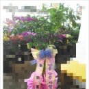 달서천로 이미지