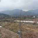 청솔농장3 이미지