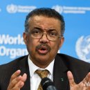 코로나 백신 한국인 개발, 코로나19 치료제 WHO 개발 임상결과 임박, 일본 코로나 치료 아비간 투여 이미지