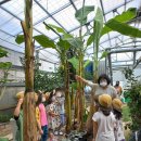 오천제일유치원 이미지