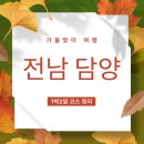 송정메타세콰이어길 | [1박 2일 담양 여행 코스] 가을 감성 제대로! 죽녹원부터 메타세쿼이아길까지 힐링 완료