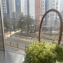 그루나루 | 커핀그루나루 응암점 사진 찍기 좋은 응암동 카페 루프탑 감성 분위기 맛집