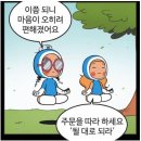 w# 47 이모님은 무슨 일을 하실까? 본식 후 남겨보는 아벨바이케이 정인 이모님 후기