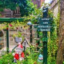 오색로뎀나무아래 이미지