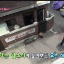 순이농장 이미지