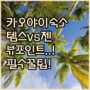 밸리피트니스 | 카오야이 숙소 선택 가이드 템스 밸리 vs 젠 넥스트 콘도 vs 뷰포인트 호텔 비교