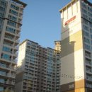 버블버블 이미지