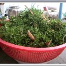 한일농장 이미지