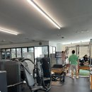 아나토미 스트랭스 이미지