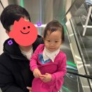 (주)가온앤 | 판교 파미어스몰 아기랑 실내 나들이 추천_카페거부기 앤 쿠펫 판교점