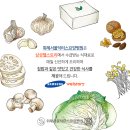 위례서울닥터스요양병원 이미지