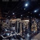 피그말리온짐 프리미엄 이미지