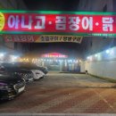 원조산호아나고 이미지