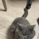 소유스터디카페 용인동백점 네이버블로그