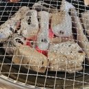 양양고기집 낙산사맛집 한돈 숯불촌 추천 후기