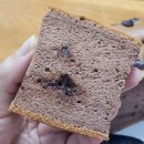 치즈당 파주운정점