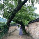 경호강 카라반 | 경호강카라반 1박 후기!