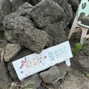 구좌 라파 김두성 할머니집 | 제주도 동쪽 독채숙소 [구좌 라파 김두성할머니 집] 내돈내산 효도여행 2박