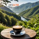 올리브조화 이미지