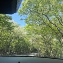세븐일레븐 홍성갈산로드점 | 제주-목포-서울-완도 새벽배-제주 차량선적 이사 후기+서해안고속도로 휴게소 후기