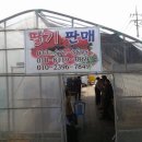 정호 농장 이미지