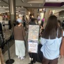 메가스포츠 | 2026 포켓몬 스포츠데이 & 메가 페스타 방문 후기