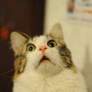 도솔한의원 이미지